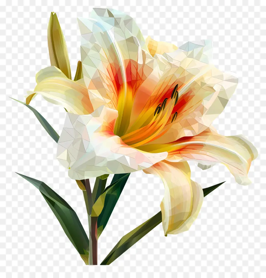 ดิจิตอลดอกไม้，สีขาวลิลลี่ PNG