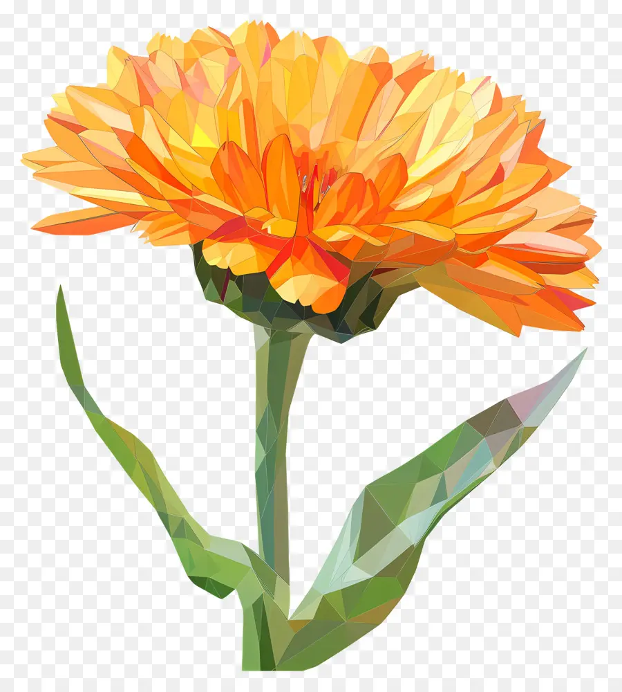 ดิจิตอลดอกไม้，ดอกไม้สีส้ม PNG
