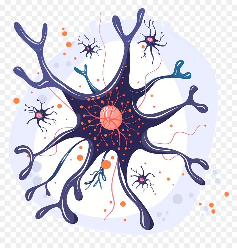 เซลล์ประสาท，Neuroglia PNG