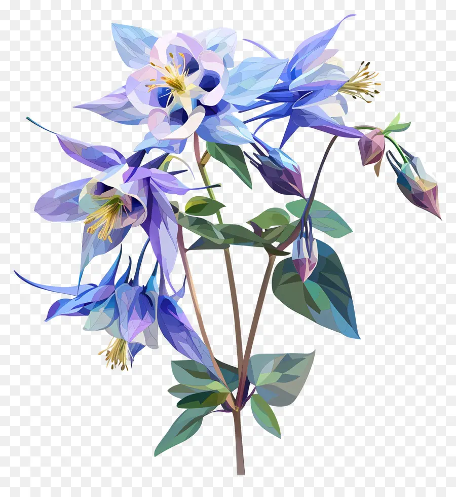 ดิจิตอลดอกไม้，ดอกไม้สีน้ำเงินโคลัมไบน์ PNG