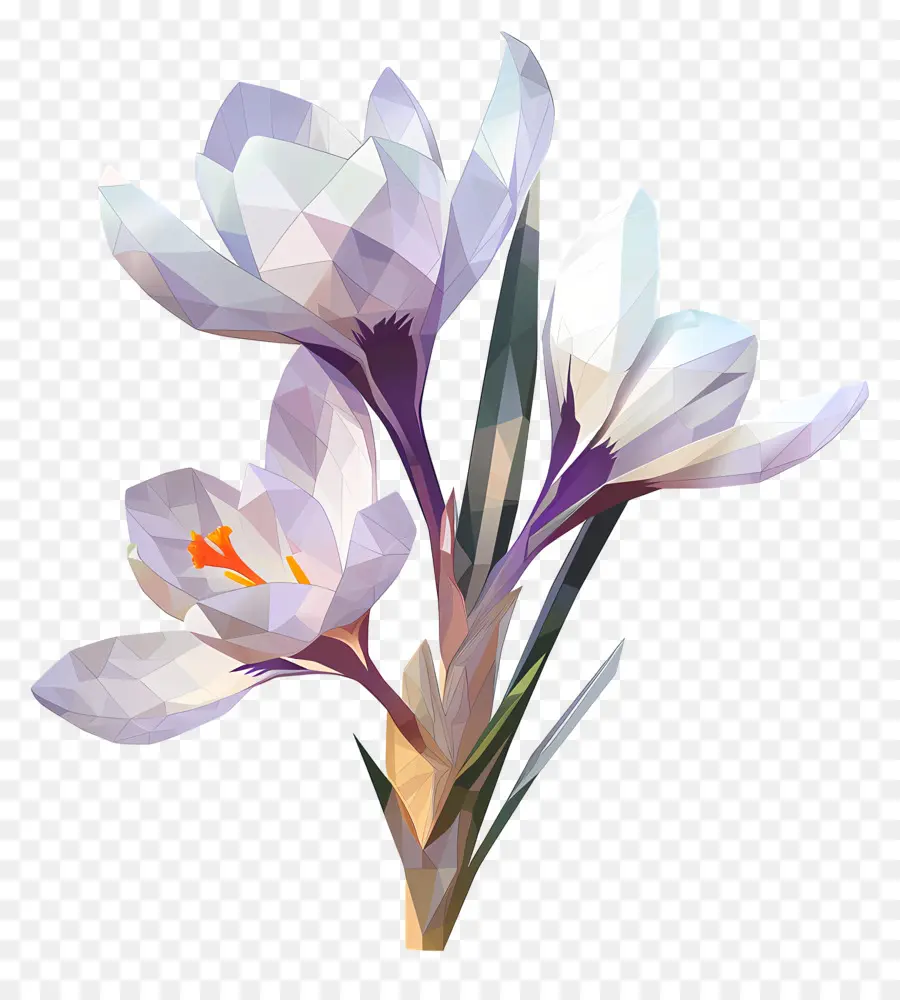 ดิจิตอลดอกไม้，น้อยรูปหลา PNG