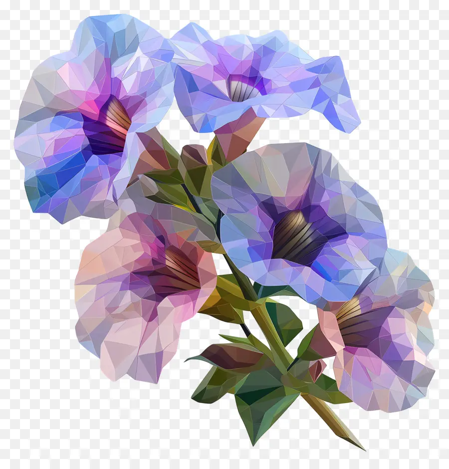 ดิจิตอลดอกไม้，ลัส PNG