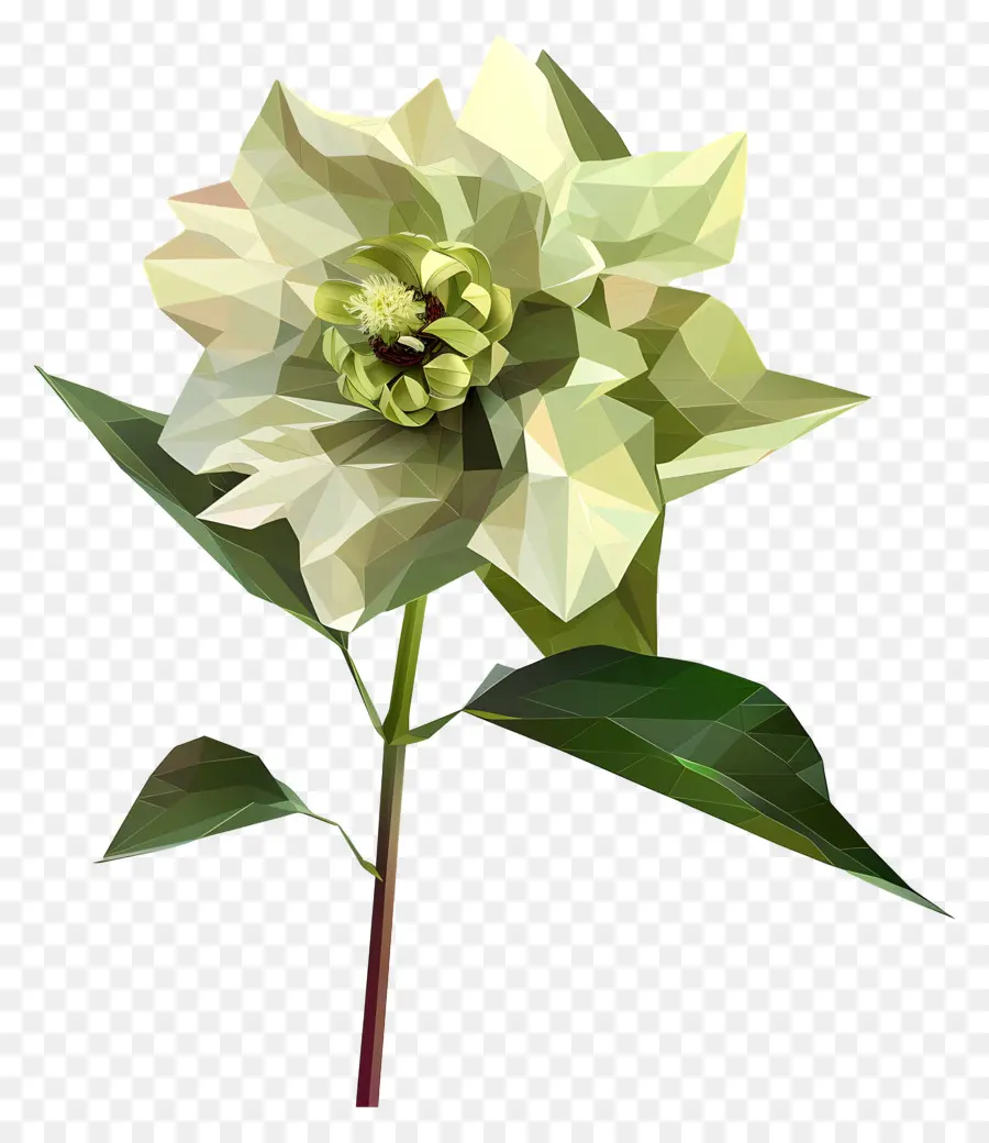 ดิจิตอลดอกไม้，สีขาว Camellia PNG