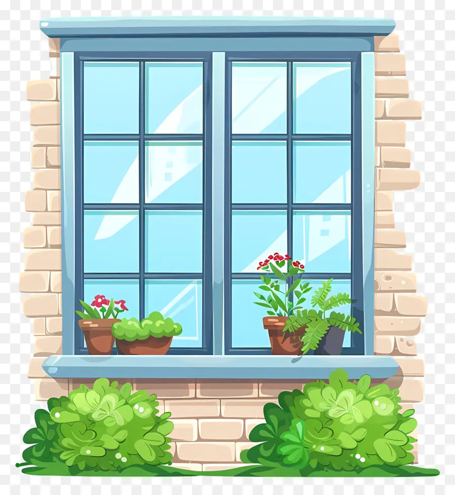 หน้าต่างบ้าน，พืชหน้าต่าง PNG