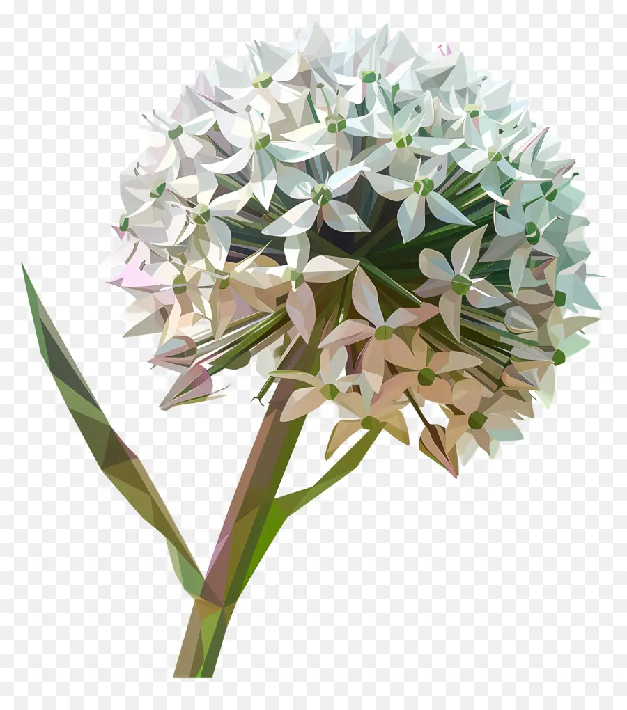 ดิจิตอลดอกไม้，ดอกไม้สีขาว PNG