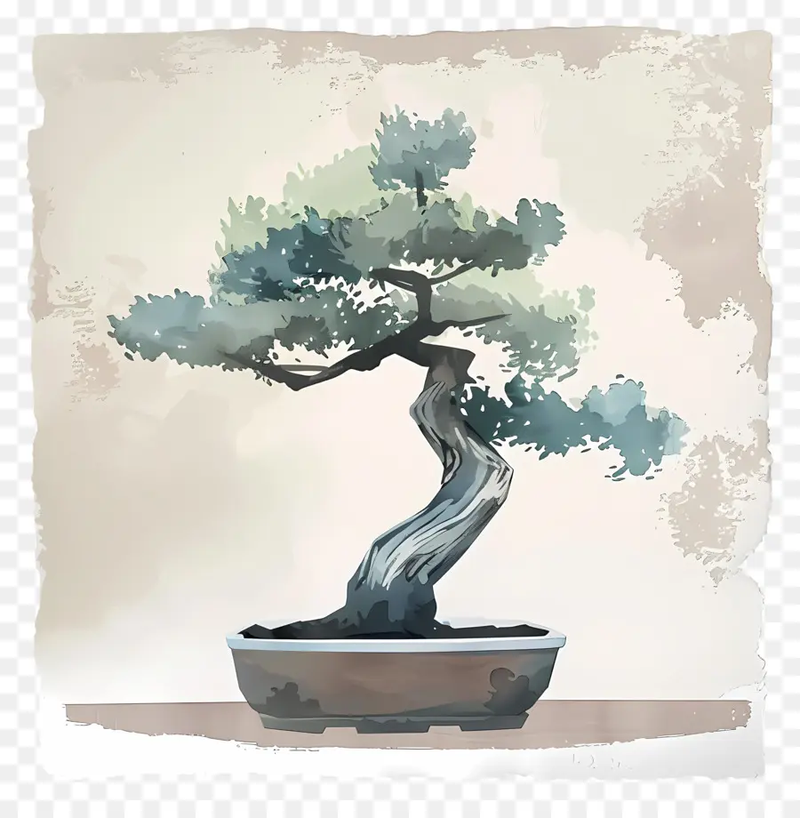 Bonsai ต้นไม้，สีวาดรูป PNG