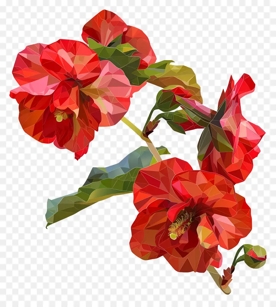 ดิจิตอลดอกไม้，ดอกไม้ชบาแดง PNG