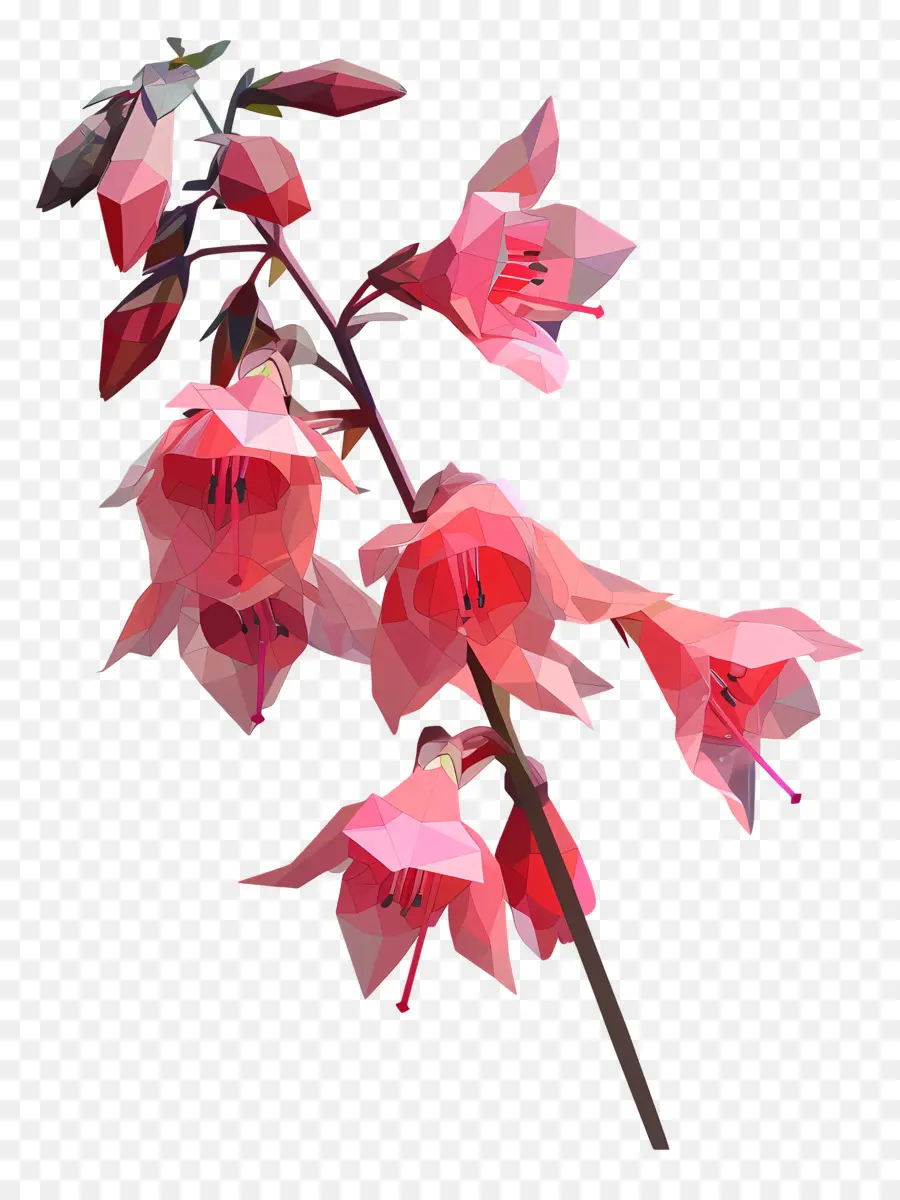 ดิจิตอลดอกไม้，ดอกไม้สีชมพู PNG