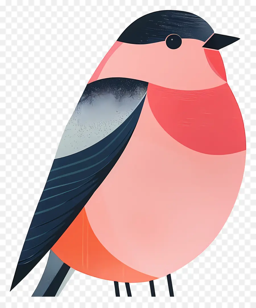 นก，Redcrested พระคาร์ดินัล PNG