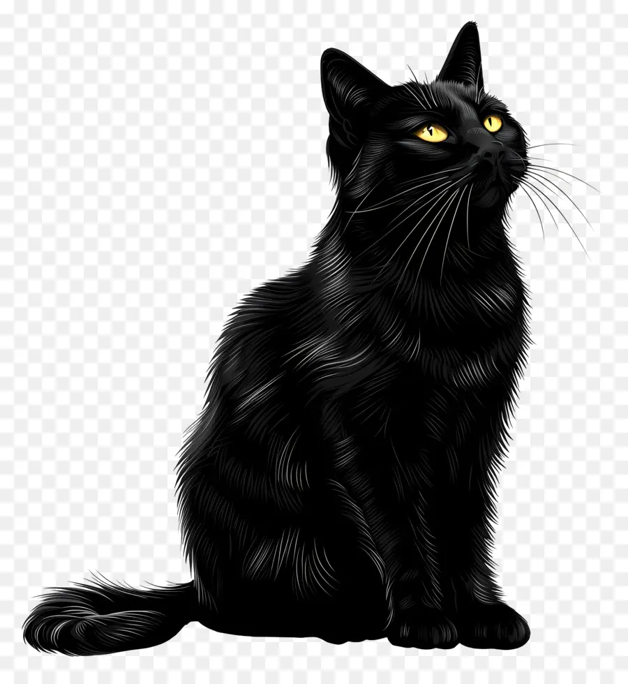 แมวดำ，ตาสีเหลืองสดใส PNG