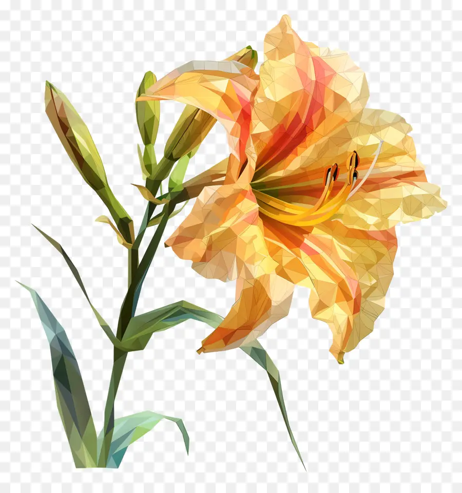 ดิจิตอลดอกไม้，สีเหลือง Daylily PNG