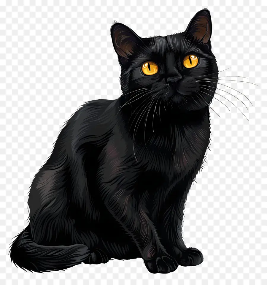แมวดำ，ปุย PNG