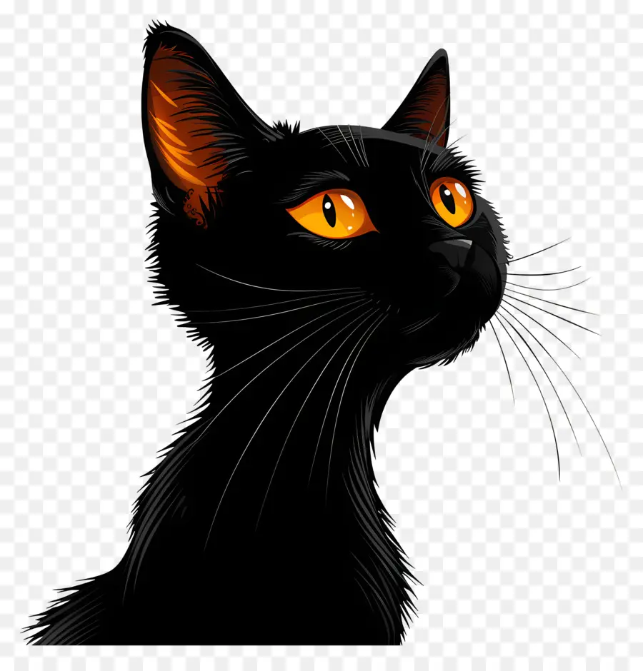 แมวดำ，สีส้มสายตา PNG