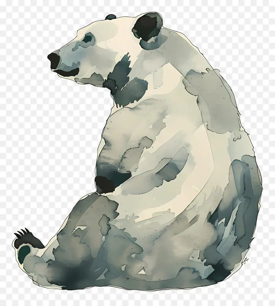 หมี，สีน้ำตาลหมี PNG