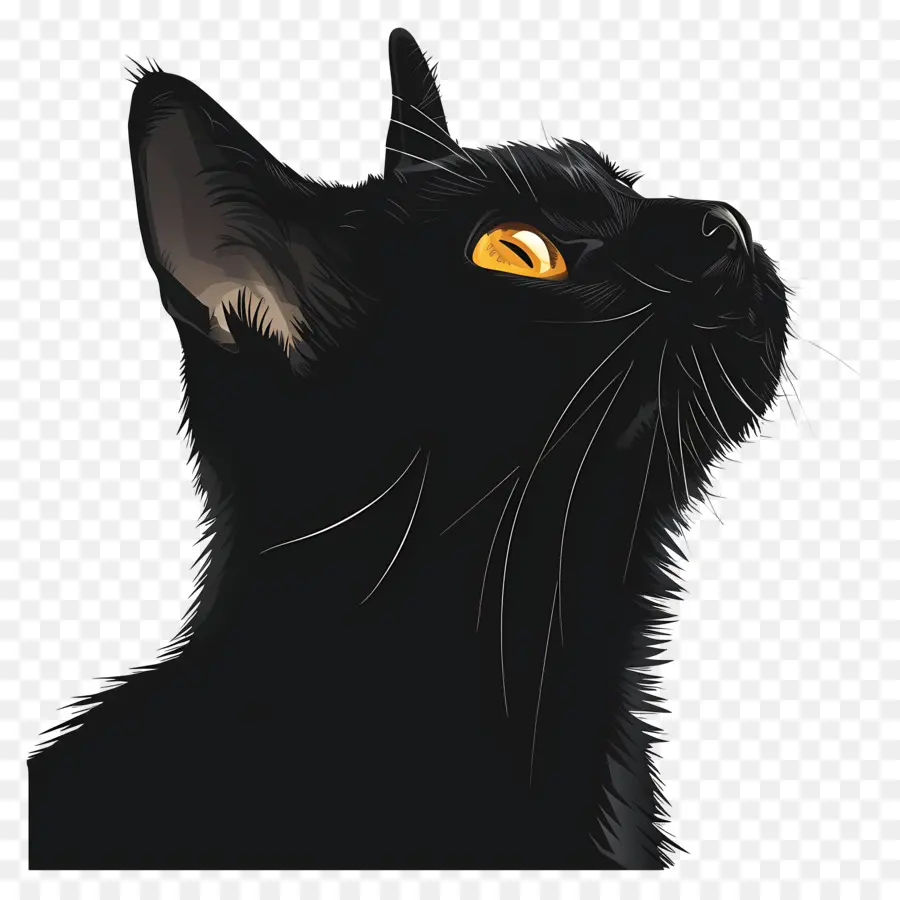 แมวดำ，ตาเหลือง PNG