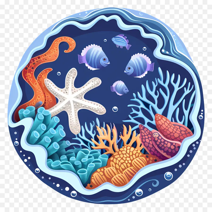 Tidepool，ฉากใต้น้ำ PNG