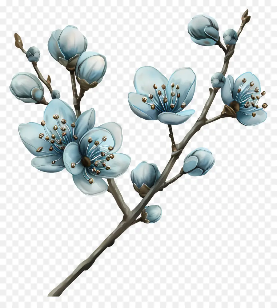 สีน้ำเงินดอกไม้，แบรนซ์ PNG