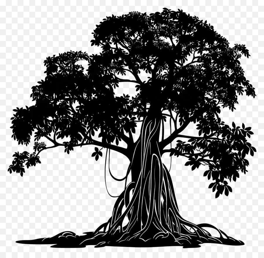 Banyan ต้นไม้，ต้นไม้ PNG