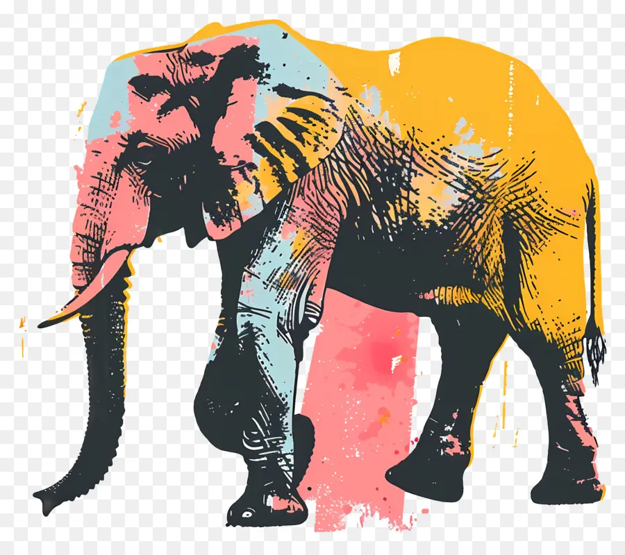 ช้าง，สีสรภาพ PNG