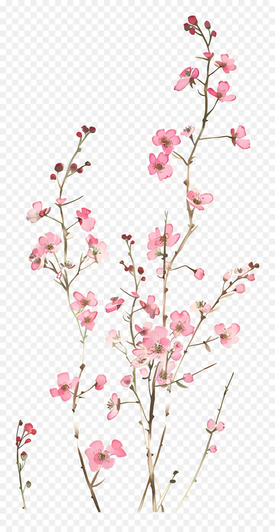 ดอกไม้สีชมพู，ดอกไม้ช่อดอกไม้ PNG