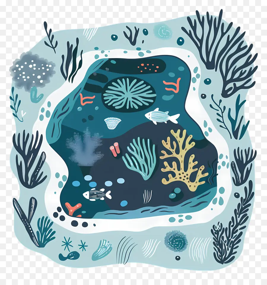 Tidepool，ฉากใต้น้ำ PNG