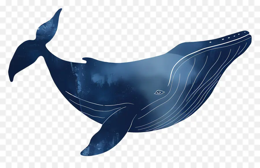 สีน้ำเงินวาฬ，ภาพวาด PNG