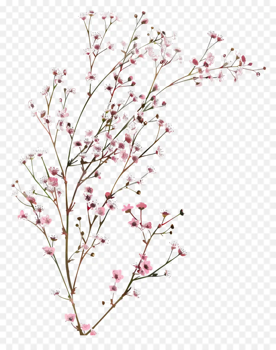 ดอกไม้สีชมพู，แบรนซ์ PNG
