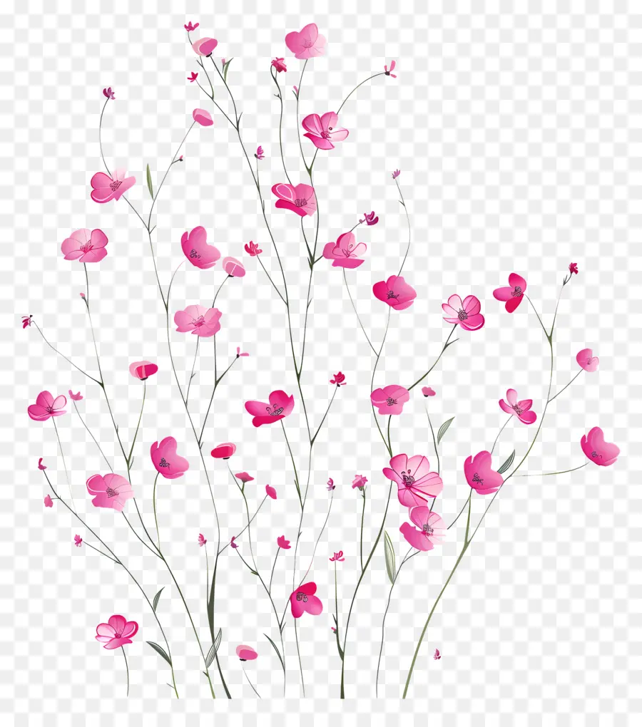 ดอกไม้สีชมพู，ช่อดอกไม้ PNG