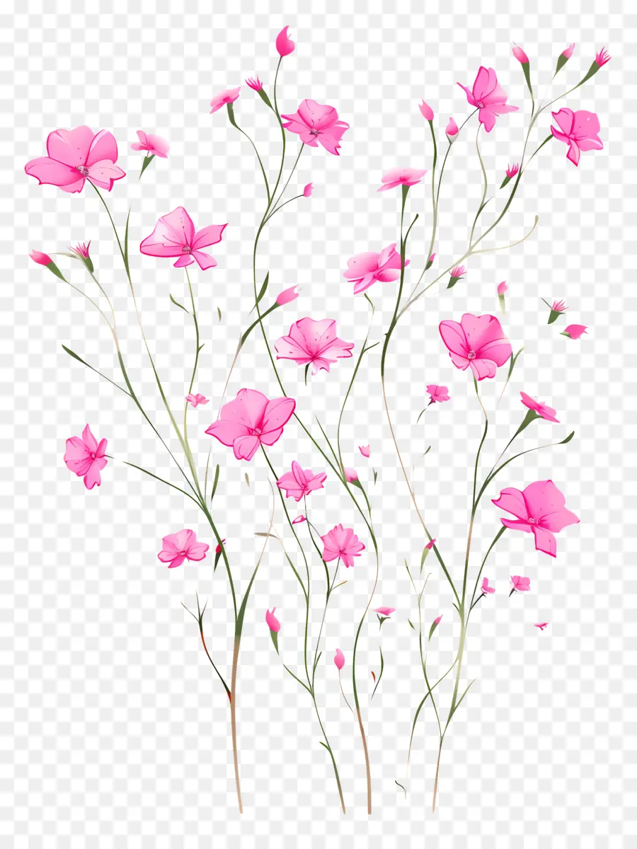 ดอกไม้สีชมพู，ธรรมชาติ Photography PNG