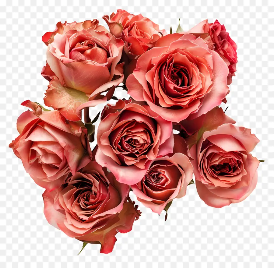 กองดอกไม้，บดอกกุหลาบสีชมพู PNG