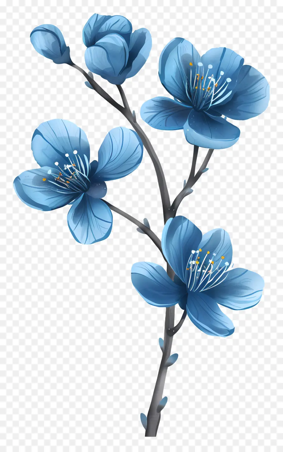 สีน้ำเงินดอกไม้，ศูนย์สีชมพู PNG