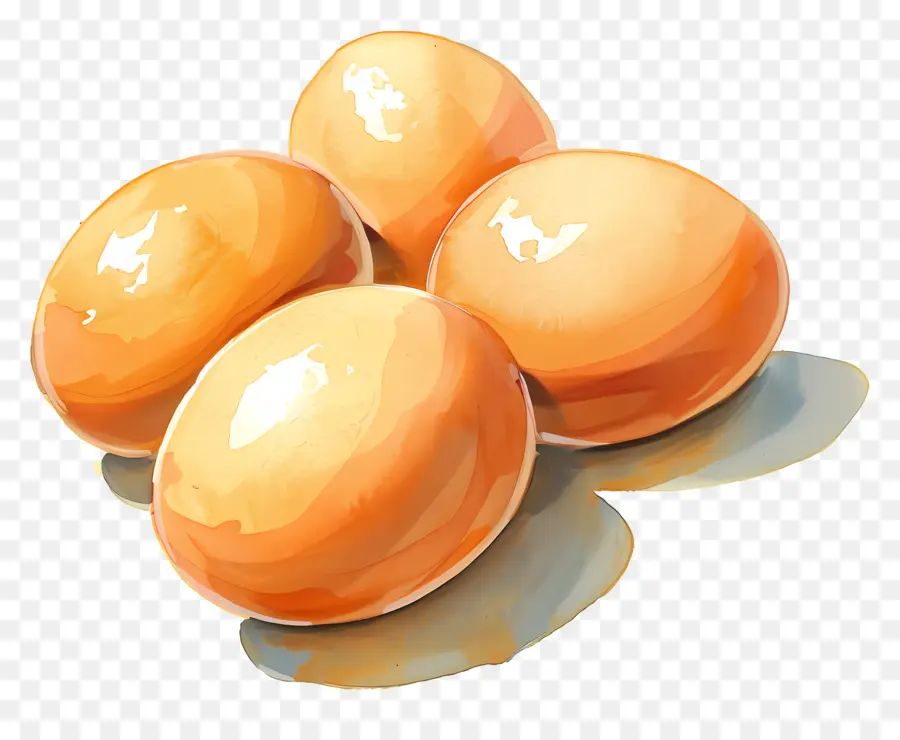 ไข่，ไข่ใหม่ PNG
