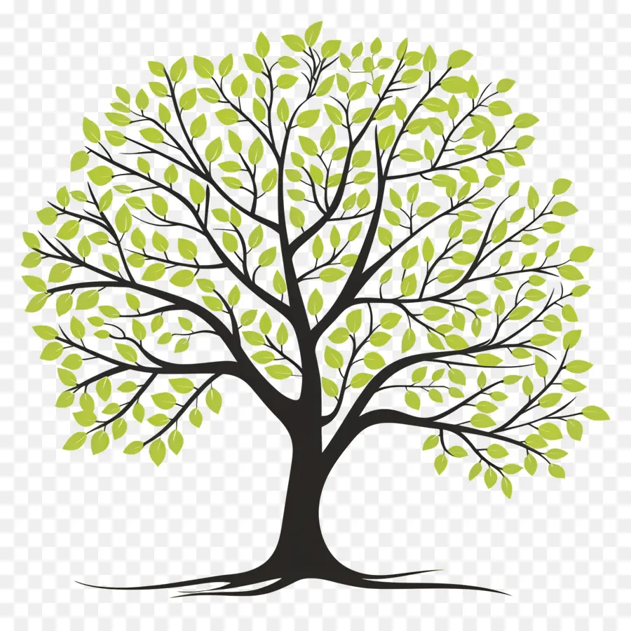 ง่ายอย่างต้นไม้，ต้นไม้ PNG