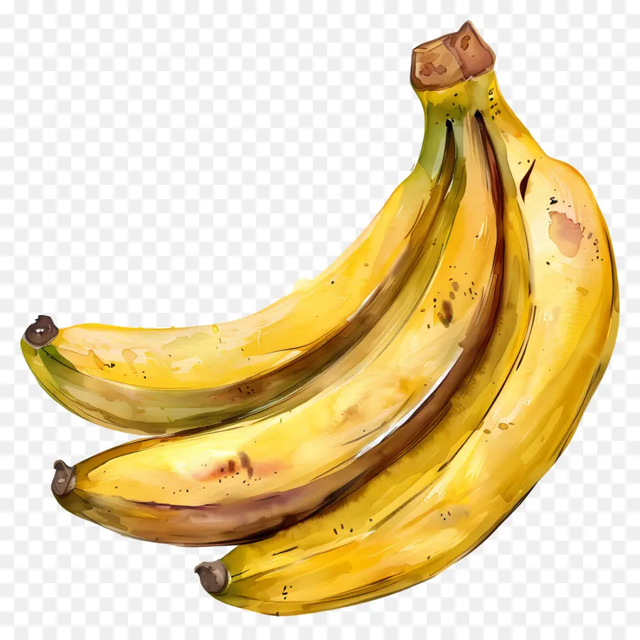 กล้วย，สีวาดรูป PNG
