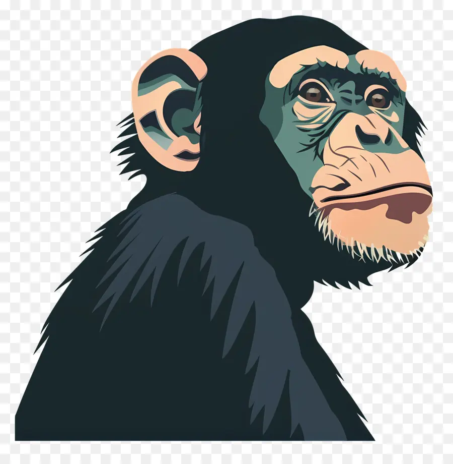 ลิง，ลิงชิมแปนซี PNG