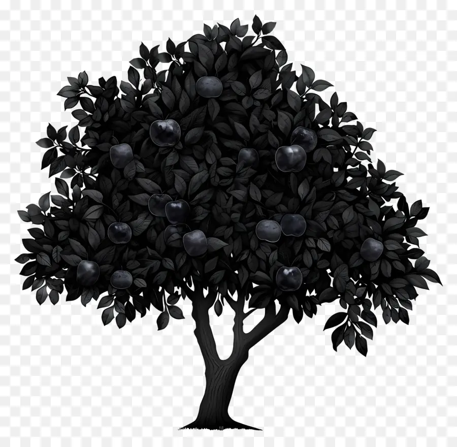 ต้นแอปเปิ้ลสีดำ，Blackberries PNG