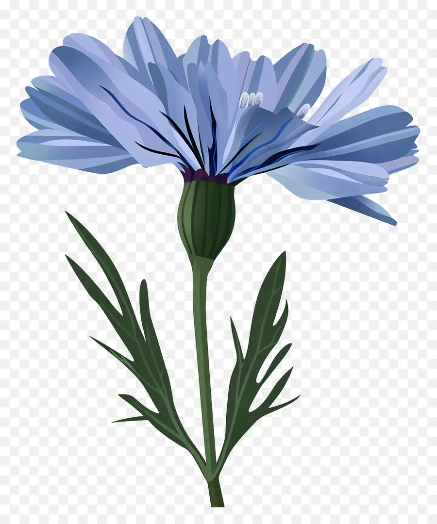 สี น้ำเงิน，สีน้ำเงินดอกไม้ PNG