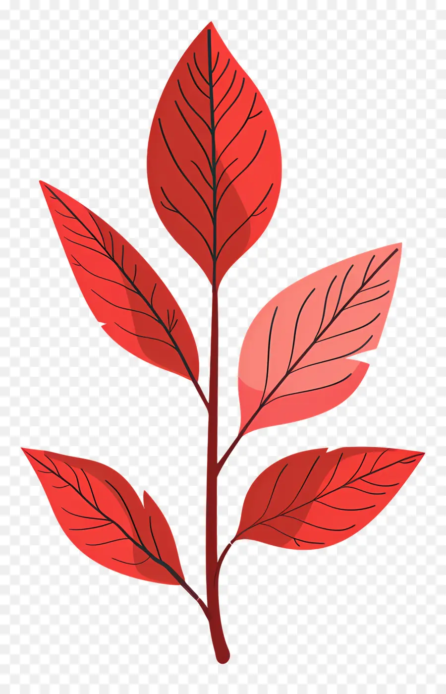 ใบไม้สีแดง Name，ใบพืชสีแดง PNG