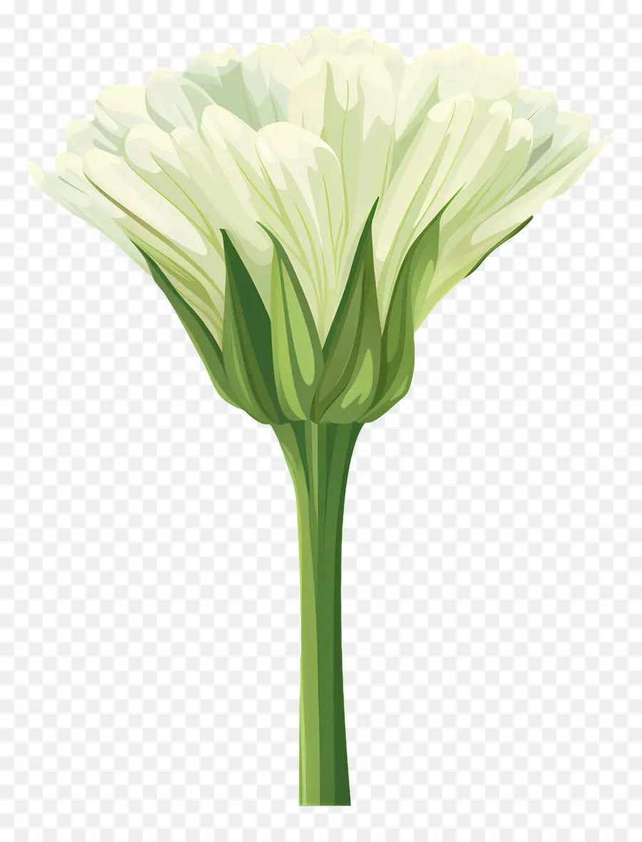 สี น้ำเงิน，ดอกไม้สีขาว PNG