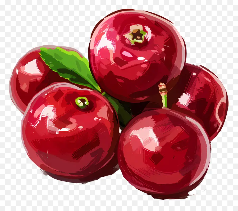 Cranberries，ตัดอวัยวะแอปเปิ้ล PNG