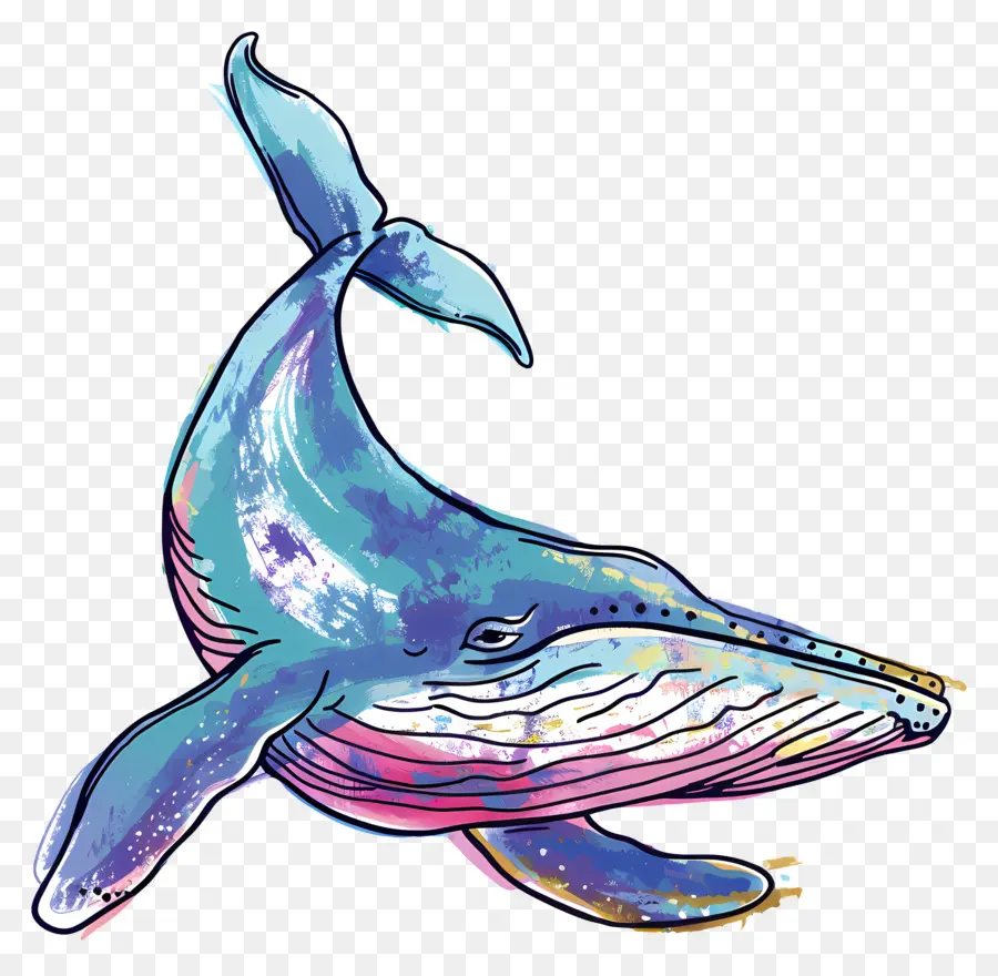 สีน้ำเงินวาฬ，วาฬ PNG