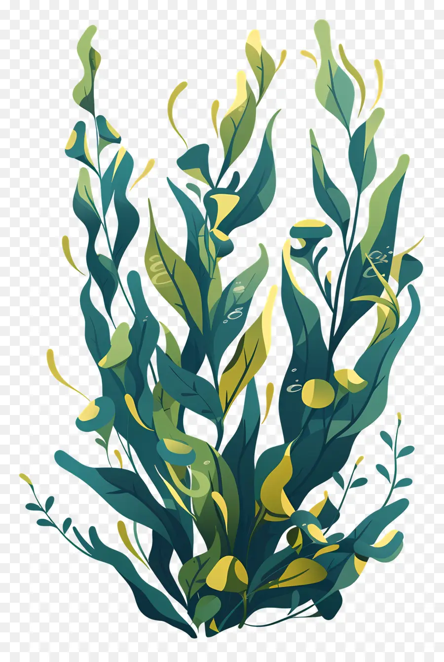 สาหร่าย，Aquatic ต้นไม้ PNG