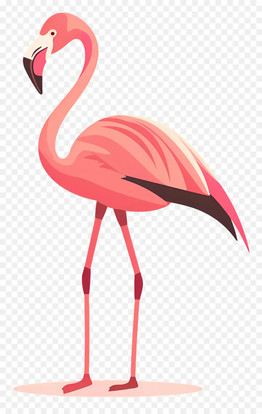 รูปนกกระเรียน，สีชมพู Flamingo PNG