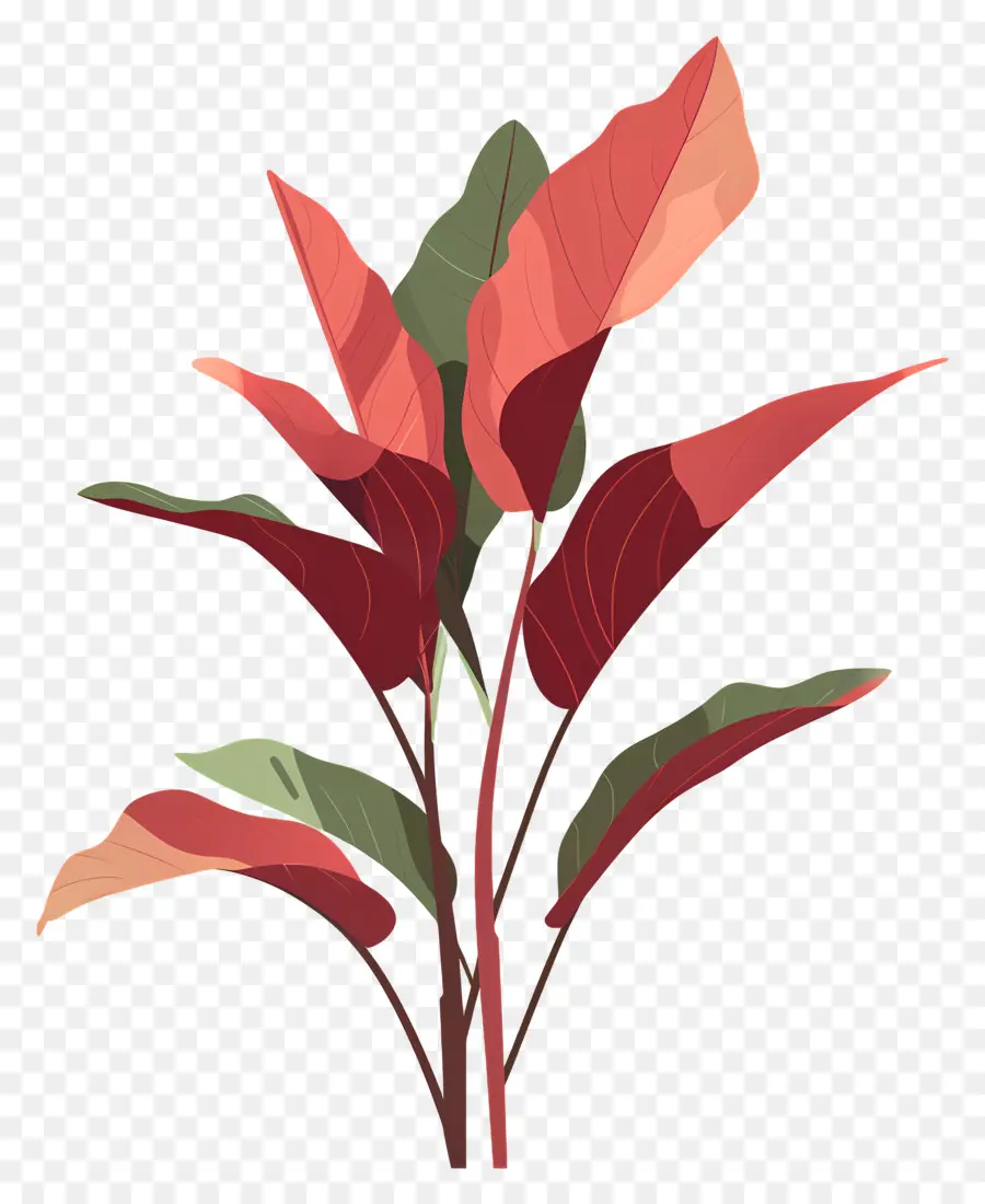 Sorrel，สีแดงต้นไม้ PNG