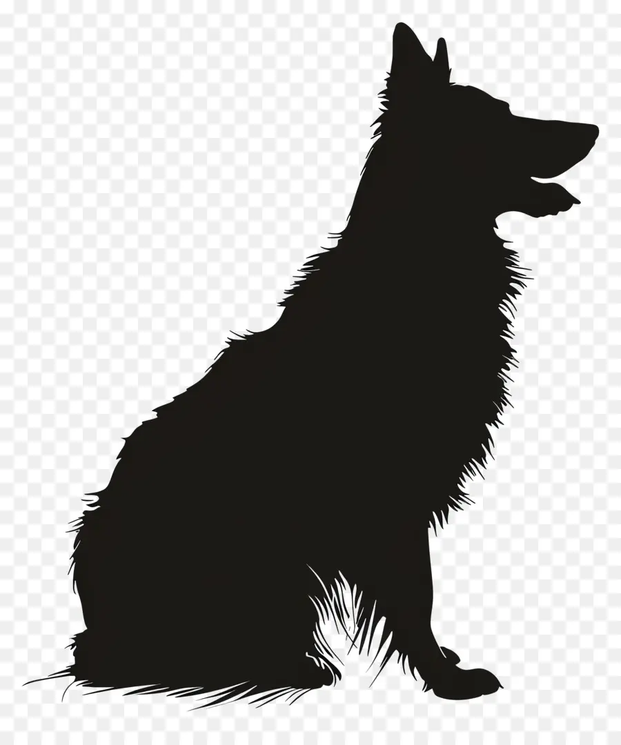 หมา Silhouette，หมาดำ PNG