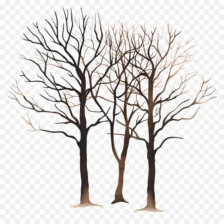 เปล่าต้นไม้，ต้นไม้ที่ไม่มีใบไม้ PNG