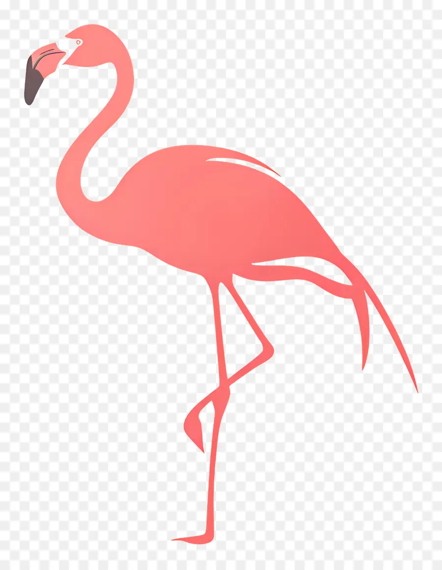 รูปนกกระเรียน，สีชมพู Flamingo PNG