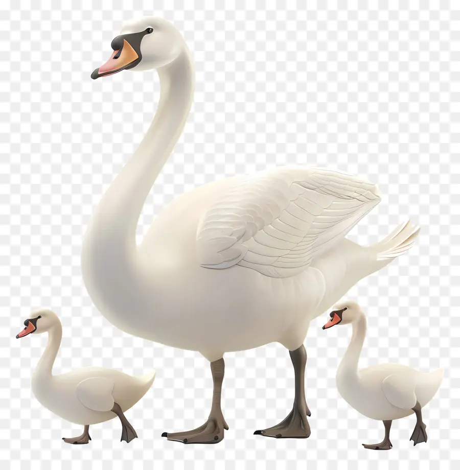 หงส์，หงส์กับ Cygnets PNG