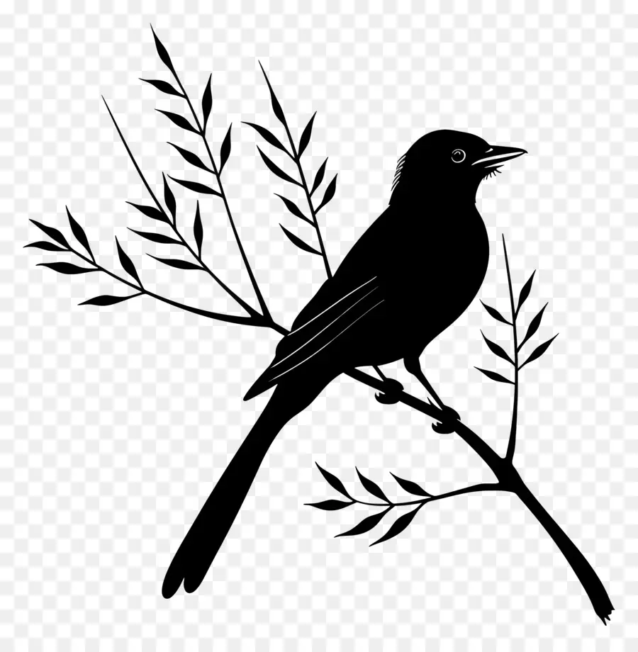 Bird Branch Silhouette，นกบนกิ่งไม้ PNG