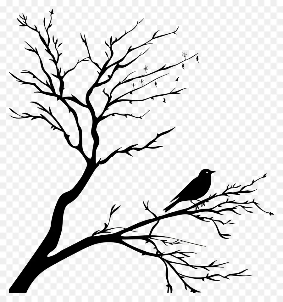 Bird Branch Silhouette，นกบนกิ่งไม้ PNG